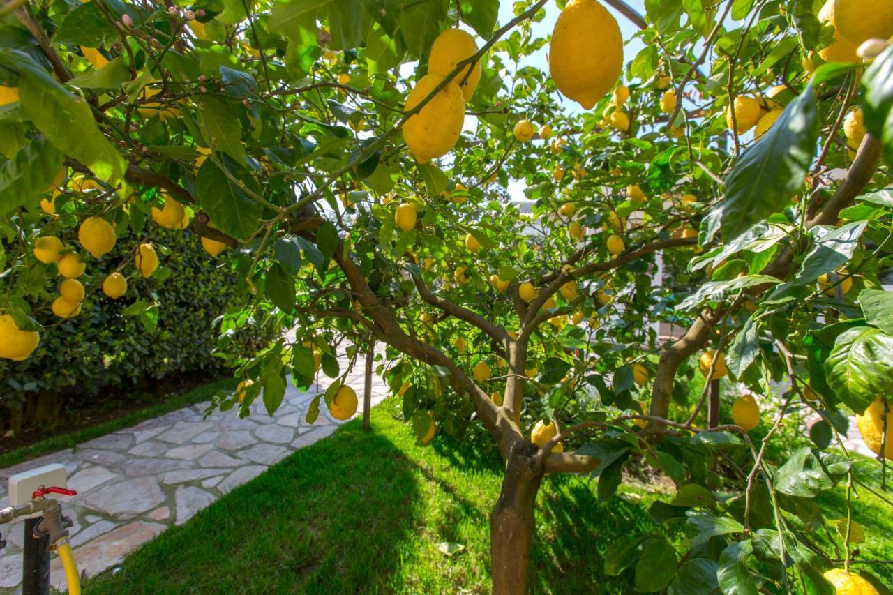 Resort Ravenna Massa Lubrense Kültér fotó